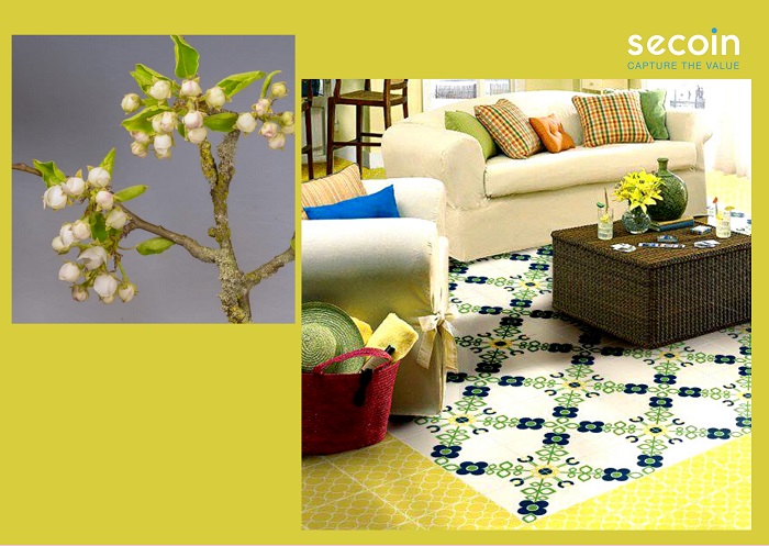 Gạch bông Secoin như một tấm thảm hoa giữa phòng khách