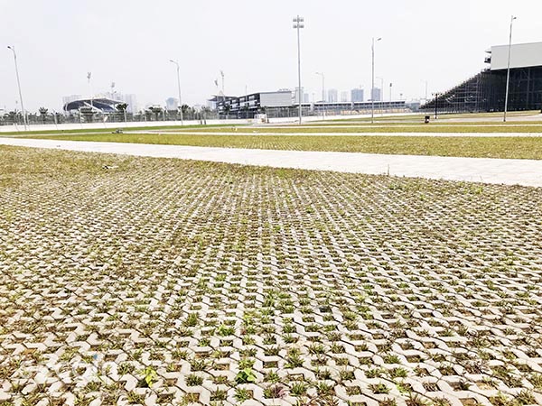 Gạch Terrazzo và gạch trồng cỏ Secoin tại Trường đua F1