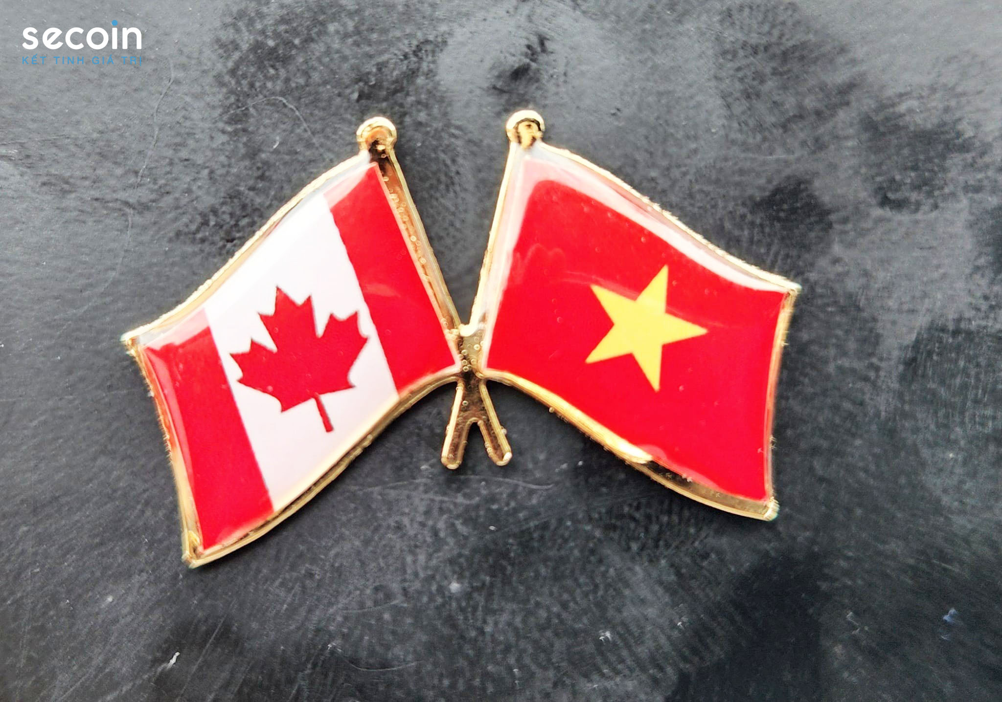 Secoin tham gia đoàn đại biểu TP Hồ Chí Minh thăm và làm việc tại Canada